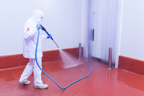 Trusted Mcmechen, WV Pressure Washing Services Experts